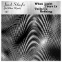 Schaefer, Janek - What Light There is Tells Us Nothing