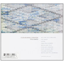 Cloudland Canyon - Fin Eaves