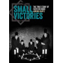 Book - Small Victories: the True Story of Faith No More