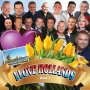 Various - I Love Hollands Deel 7