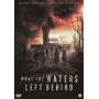 Movie - What the Waters Left Behind