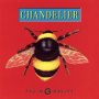 Chandelier - Facing Gravity