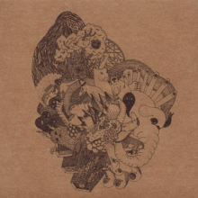Dimlite - Prismic Tops