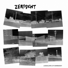 Zerodent - Landscapes of Merriment