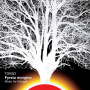 Tokso - Fyrsta Morginn - Music For Voluspa