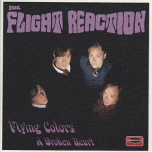 Flight Reaction, the - Flying Colors