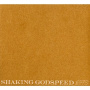 Shaking Godspeed - Awe
