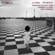 Norwegian Soloists' Choir & Ensemble Allegria & Grete Pedersen - J.S. Bach: the Motets