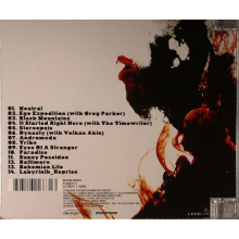 Brown, Terry Lee -Jr- - Labyrinth