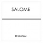 Salome - Terminal