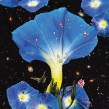 Louise, Sarah - Nighttime Birds and Morning Stars