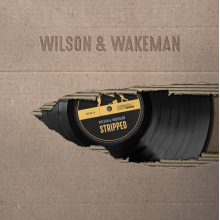 Wilson, Damian - Stripped