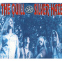 Quill - Silver Haze