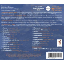 Conjunto Folclorico Danzamerica De Chile - Beautiful Songs of Chile