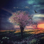 Borneman, Robin - Folklore Iii: the Cradle Tree
