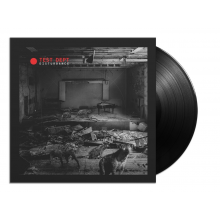 Test Dept. - Disturbance