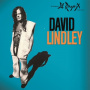 Lindley, David - El Rayo-X