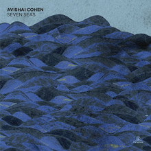 Cohen, Avishai - Seven Seas