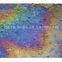 Young Gods - Data Mirage Tangram