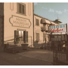 Mighty Magnolias - Unknown Skyline