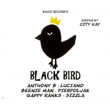 V/A - Big Slap & Black Bird Riddims By City Kay