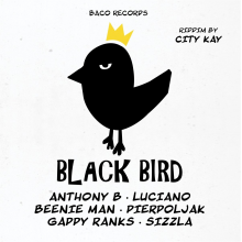 V/A - Black Bird Riddim By City Kay