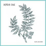 Rowan Oak - Hope & Ruin