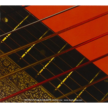 Sparhawk, Jesse - Sixty Strings