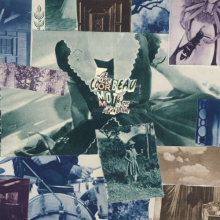 Le Corbeau - Moth On the Headlight