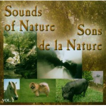 Various Frogs - Sounds of Nature 2