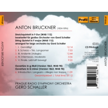 Bruckner, Anton - Quintet In F Major For Large