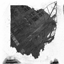 Wreak Havoc - Abandon Everything