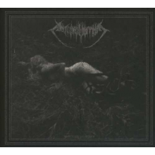 Antropomorphia - Merciless Savagery
