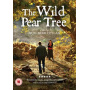Movie - Wild Pear Tree