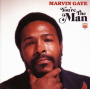Gaye, Marvin - You're the Man