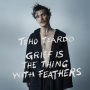 Teardo, Teho - Grief is the Thing With Feathers