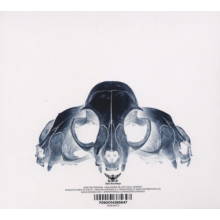 Djerv - Djerv