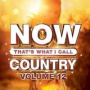 V/A - Now That's What I Call Country Vol.12