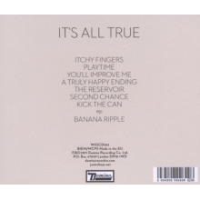 Junior Boys - It's All True