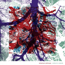 Silversun Pickups - Widows Weeds