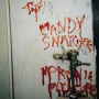 Candy Snatchers - Moronic Pleasures