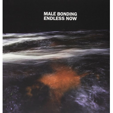 Male Bonding - Endless Now