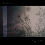 Azita - Disturbing the Air