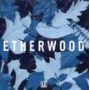 Etherwood - Blue Leaves