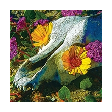 Dali's Llama - Mercury Sea