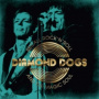 Diamond Dogs - Recall Rock'n'roll and the Magic Soul