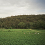 La'brooy, Albrecht - Healesville
