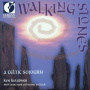 V/A - Walking Stones-A Celtic S