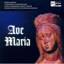 Cantores Cathedrales - Ave Maria