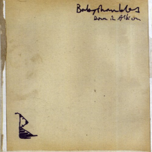 Babyshambles - Down In Albion